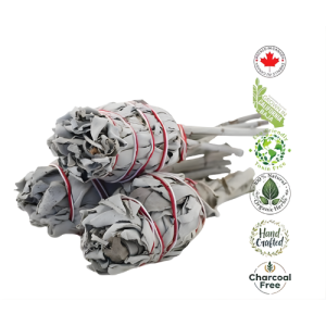 Organic California White Sage Torch 3-4'' (Packaged 3 pcs/Bag with Header Card)